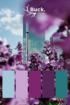 purple and blue flowers in front of a tall building with the words buck on it