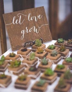 there are small succulents on the table with a sign that says let love grow