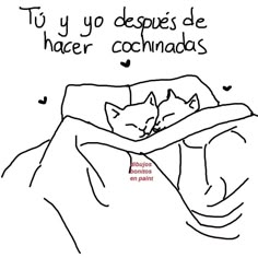 a black and white drawing of a cat sleeping on a bed with the caption tu yo despues de hacer cohnadas