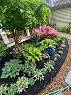 a garden filled with lots of different types of flowers and plants next to a house