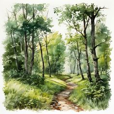 a watercolor painting of a path in the woods