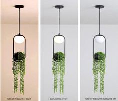 three different views of the same hanging planter with plants in it, and one is green