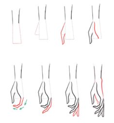 an image of different hands and feet on a white background with red lines in the middle