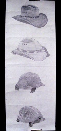 three drawings of hats and turtles on paper