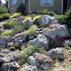 rocks and flowers in front of a house