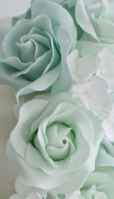 a close up view of some flowers on a cake