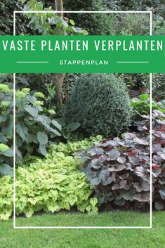 the words waste planten verplanten in front of a garden filled with plants