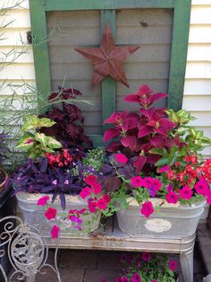 colorful flowers are growing on the side of a building