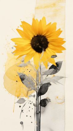 a yellow sunflower with black and white background