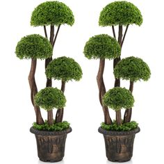 two potted trees are shown in front of each other, one is green and the other is brown