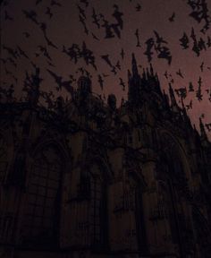 many bats are flying in the sky above a gothic building at night with pink light