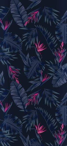 a blue and pink wallpaper with palm leaves on the dark background is featured in this image