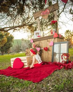 Valentine’s Day Mini Session, Holiday Photo Session, Valentine Photo Shoot, Fotos Ideas, Valentines Day Pictures, Valentine Photo, Park Photos, Mini Session