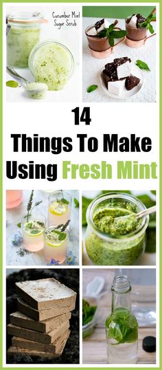 Using Fresh Mint, Mint Recipes Fresh, Easiest Plants To Grow, Mint Sugar Scrub, Fresh Herb Recipes, Mint Herb, Mint Recipes, Mint Plants, Herb Recipes