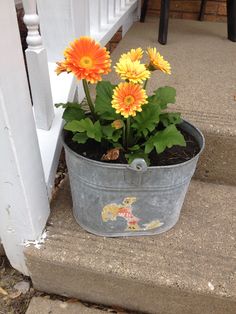 a metal bucket filled with flowers sitting on the steps