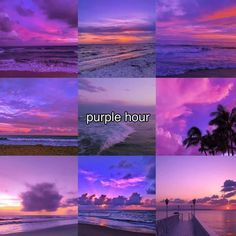 purple hour sunsets and palm trees on the beach