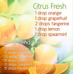 Citrus Essential Oil Blends, Citrus Bloom Diffuser Blends, Tangerine Essential Oil Blends, House Scents, Citrus Bliss Diffuser Blends, Diy Perfumes, Doterra Citrus Bliss, Candle Recipes