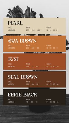 four different shades of brown, black and white are shown in the same color scheme