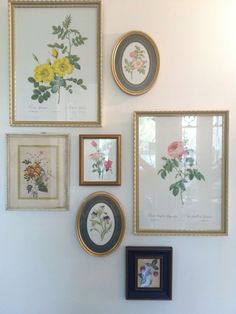 several framed flowers are hanging on the wall