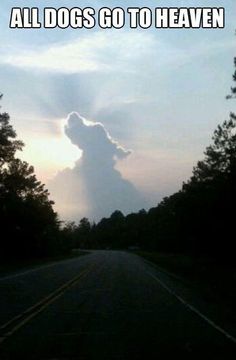 an image of a cloud that is in the sky with words above it saying all dogs go to heaven