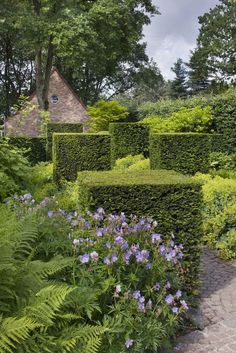 a garden with various plants and flowers in it