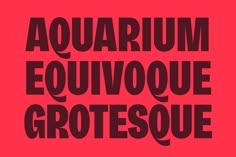 the words aquarium, equivoque and grotesque on a pink background