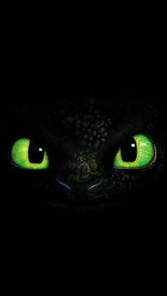 the green eyes of a black cat are glowing in the dark