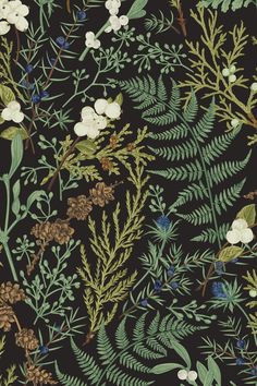 a black background with white flowers and green leaves on the bottom right corner is an illustration of plants, berries, and pine cones