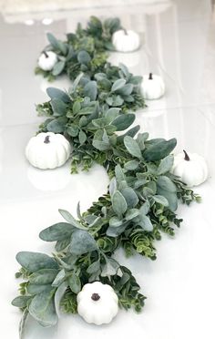 white pumpkins and greenery are arranged on the floor in this long line with leaves