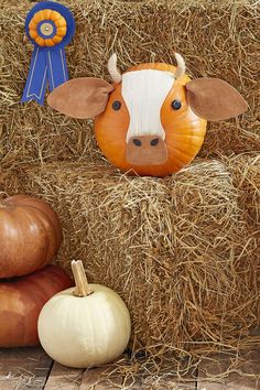 a cow head sitting on top of hay next to pumpkins