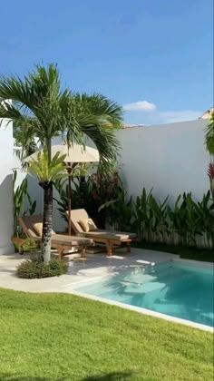 an outdoor pool with lounge chairs and palm trees