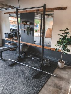 an exercise room with equipment and a potted plant