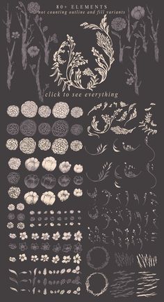 an image of various plants and flowers on a black background