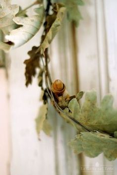 a close up of a plant with leaves and a snail on it's back