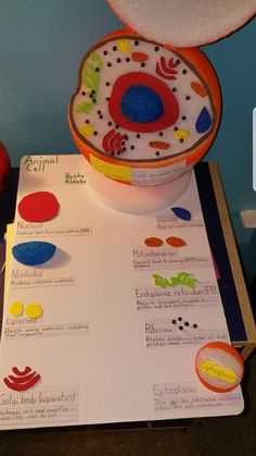 an ice cream container sitting on top of a table next to a paper with information about it