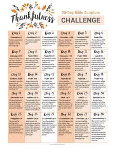 the 30 day bible challenge is shown in this printable calendar