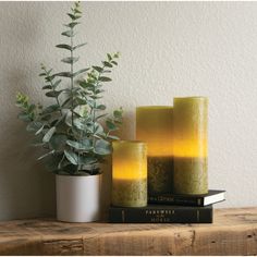 three candles sitting on top of books next to a potted plant