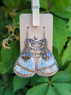 a pair of blue and white butterfly earrings hanging from a clip on a wooden hanger