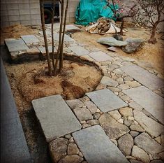 a stone path in front of a house with trees and rocks on the ground next to it