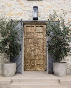 two planters with olive trees in front of an old door