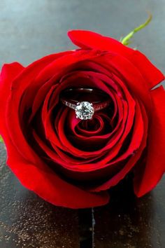 a single red rose with a diamond ring on it