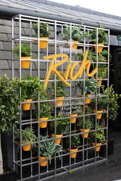 there are many potted plants on display in the building's metal grids