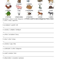 an animal worksheet with animals and other things to describe the word's meaning