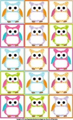 an image of owls with different colors