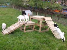 three dogs are playing in the grass near a wooden structure with stairs and ladders