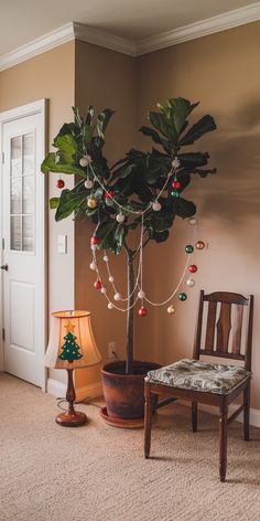 Fiddle leaf fig tree decorated with colorful holiday ornaments and a nearby lamp painted with a Christmas tree. Giant Fiddle Leaf Tree, Fig Plant Care, Fiddle Leaf Fig Care, Fiddle Leaf Fig Plant, Fiddle Leaf Tree, Fig Plant, Indoor Tree, Plant Care Tips, Santa And His Reindeer