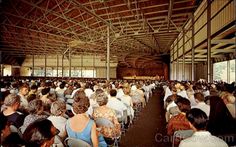 a large group of people sitting in chairs