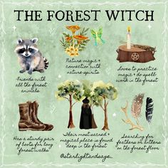 the forest's witch symbols are shown in this illustration, including boots and trees