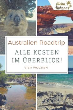 the cover of an australian road trip with pictures of animals and people on it, including water