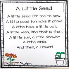 a little seed poem for kids to read